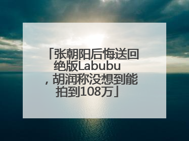 张朝阳后悔送回绝版Labubu，胡润称没想到能拍到108万